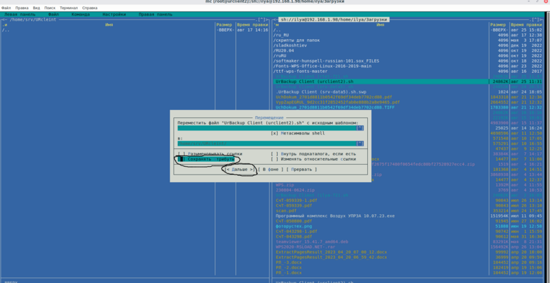 Файл:Urbackup8.png