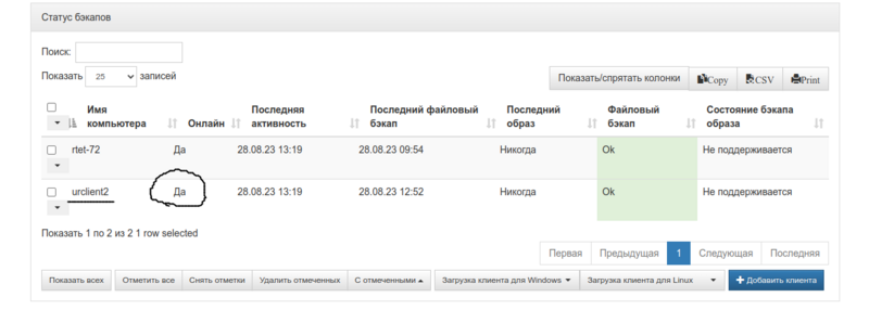 Файл:Urbackup15.png
