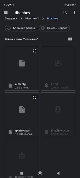 Файл:Screenshot 2022-11-09-16-22-16-996 com.google.android.documentsui.jpg